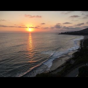 Meet your Posher, Niloufar